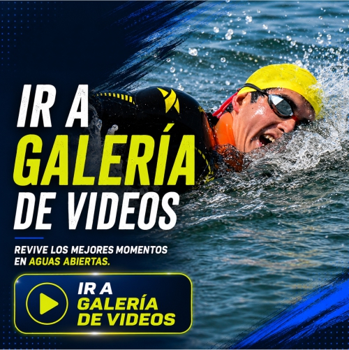 galeriavideo